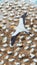 Vertical shot of one great albatross in flight with many birds on the beach