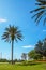 Vertical shot of a palm tree on the garden gleaming under the blue sky