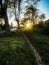Vertical shot of a park with a narrow track In the grass during sunset