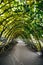 Vertical shot of a path with an arch of leaves in the royal Kensington gardens in London, England