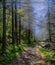 Vertical shot of a path in a creepy pine tree forest covered in mist