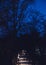 Vertical shot of path in the park with illuminated streetlights and dry trees