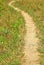 Vertical shot of a pathway at the farm during daytime