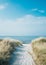 Vertical shot of a pathway leading to the beach at the ocean shore