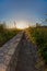 Vertical shot of a pavement surrounded by tall grass under the sunset captured in Samos, Greece
