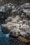 Vertical shot of a pelican and blue-footed booby birds perched on rocks on the coast