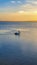 Vertical shot of a pelican in the sea at sunset