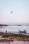 Vertical shot of people and a fishing boat at Apulia Beach with a seagull flying above