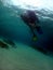 Vertical shot of a person diving in the clear blue ocean