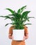 Vertical shot of a person holding potted spathiphyllum wallisii against a white background