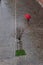 Vertical shot of a person with red umbrella walking by the paved path with leafless trees in Venice