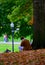 Vertical shot of a person scrolling on a phone while sitting in fall leaves under a tree in a park