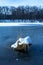 Vertical shot of a piece of wood covered with snow in the frozen lake in Maksimir, Zagreb, Croatia