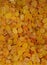 Vertical shot of a pile of hundreds of yellow raisins