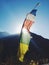 Vertical shot of prayer flags and hills on a sunny day