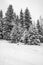 Vertical shot of a pristine winter forest featuring snow-covered pine trees