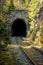 Vertical shot of rails and a tunnel covered with plants