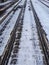 Vertical shot of a railway covered with snow during winter