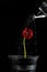 Vertical shot of a red flower in a metal bucket being watered on a black background