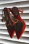Vertical shot of red high heels hung on jalousie window