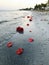 Vertical shot of red roses lying in a beach which is being washed off by the waves of a sea