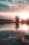 Vertical shot of the reflection of the trees in a lake at day time captured in Sweden