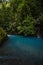 Vertical shot of river dyed turquoise by minerals and surrounded by vegetation in the middle of the tropical jungle of Costa Rica