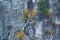 Vertical shot of a rock climber on the Seneca Rocks, West Virginia