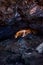 Vertical shot of rocky cave with a big hole and a wooden ladder- perfect for old mines concept