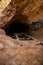 Vertical shot of rocky cave with a big hole and a wooden ladder- perfect for old mines concept