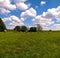 Vertical shot of a rural scene with livestock pasturing on a field