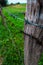 Vertical shot of a rustic barbed wire on a wooden log