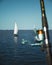 Vertical shot of sailboats in a calm sea with a blurred fishing pole in the foreground