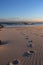 Vertical shot of a sandy coast of an ocean with footprints of an animal on it