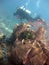 Vertical shot of a scuba diver wearing diving suit and equipment swimming near fish on coral reefs