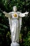 Vertical shot of the sculpture of Jesus Christ surrounded by trees