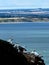 Vertical shot of seabirds sitting on a cliff against the blue sea on a peaceful day