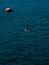 Vertical shot of a seagull flying in the port of Getaria, Spain