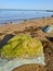 Vertical shot of a seascape view with mossy stones on a coastline