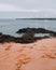 Vertical shot of seaweed on the shore of Yorke Peninsula, South Australia