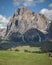 Vertical shot of Seiser Alm - Alpe di Siusi with wide pasture and horses in Compatsch Italy