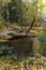 Vertical shot of Senda de la Vega park in Segovia, Spain