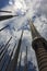 Vertical shot of several towers under a clouded sky