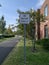 Vertical shot of a sign pole with No motor vehicles notes near the path next to the brick building