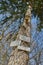 Vertical shot of signs in German language on a tree trunk on a sunny day