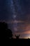 Vertical shot of silhouettes of a person pointing at the milky way in the night sky