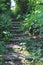 Vertical shot of simple outdoor wooden stairs in nature