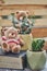 Vertical shot of a small potted plant with a stuffed animal toy on the table in a garde