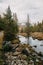 Vertical shot of a small stream of water flowing through an autumn forested area on a cloudy day