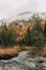 Vertical shot of a small stream of water flowing through an autumn forested area on a cloudy day